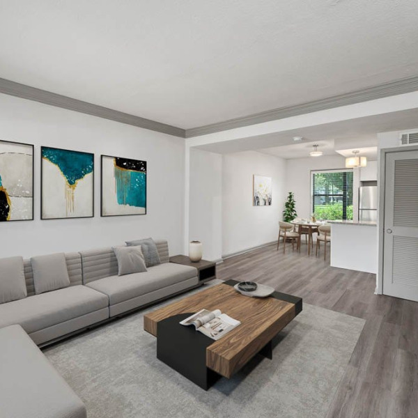Apartment Living Room